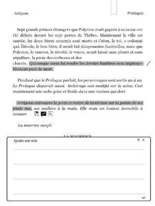 Détail annotations sur extrait surligné