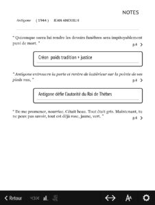 Cahier de notes du livre avec citations et annotations